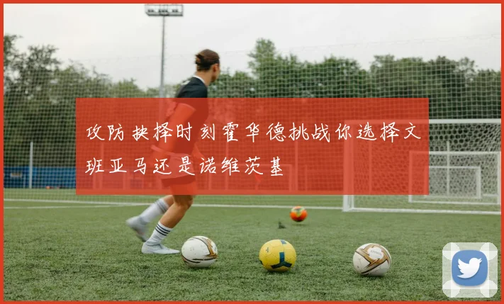 攻防抉择时刻霍华德挑战你选择文班亚马还是诺维茨基